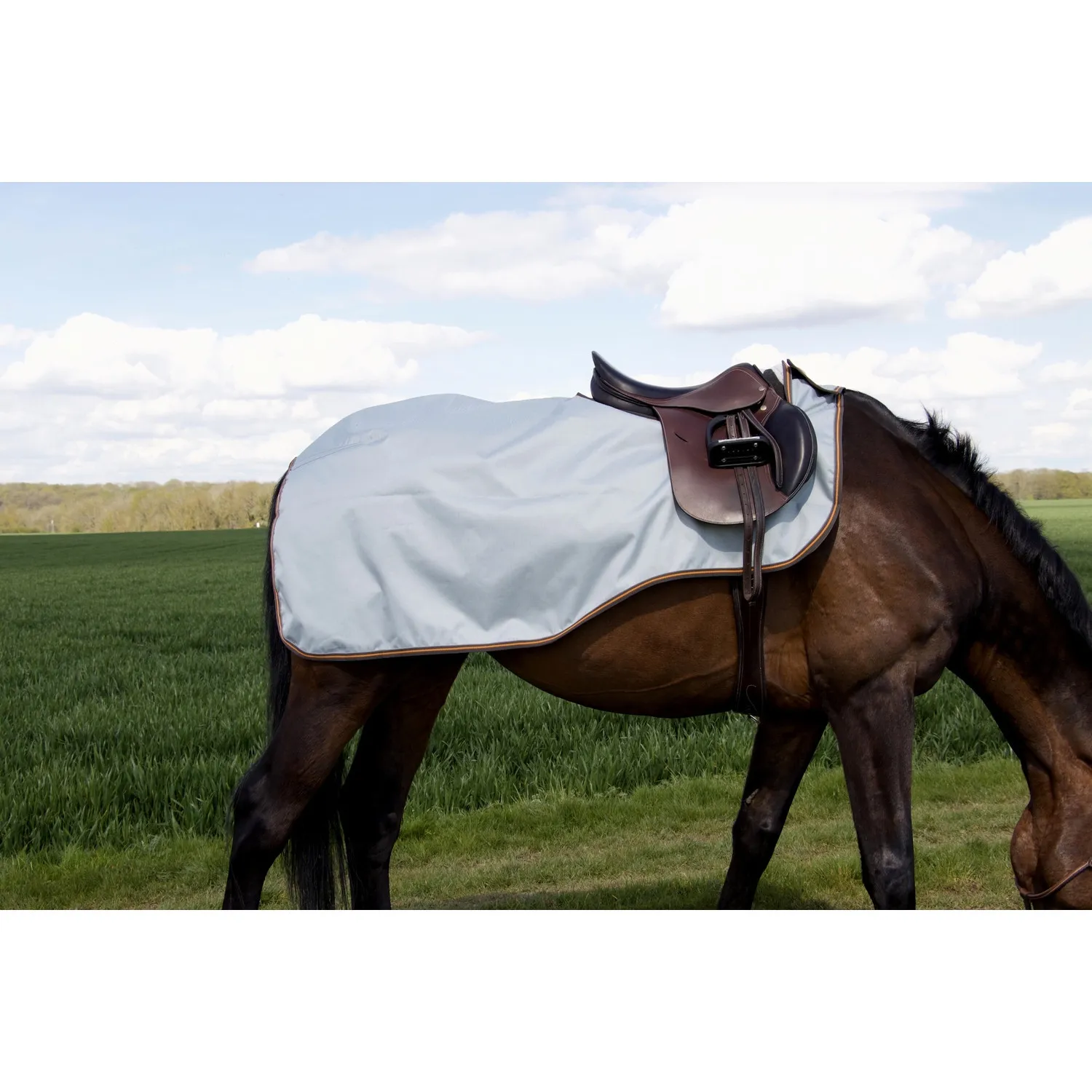 Couvre-reins réfléchissant doublé T de T pour cheval