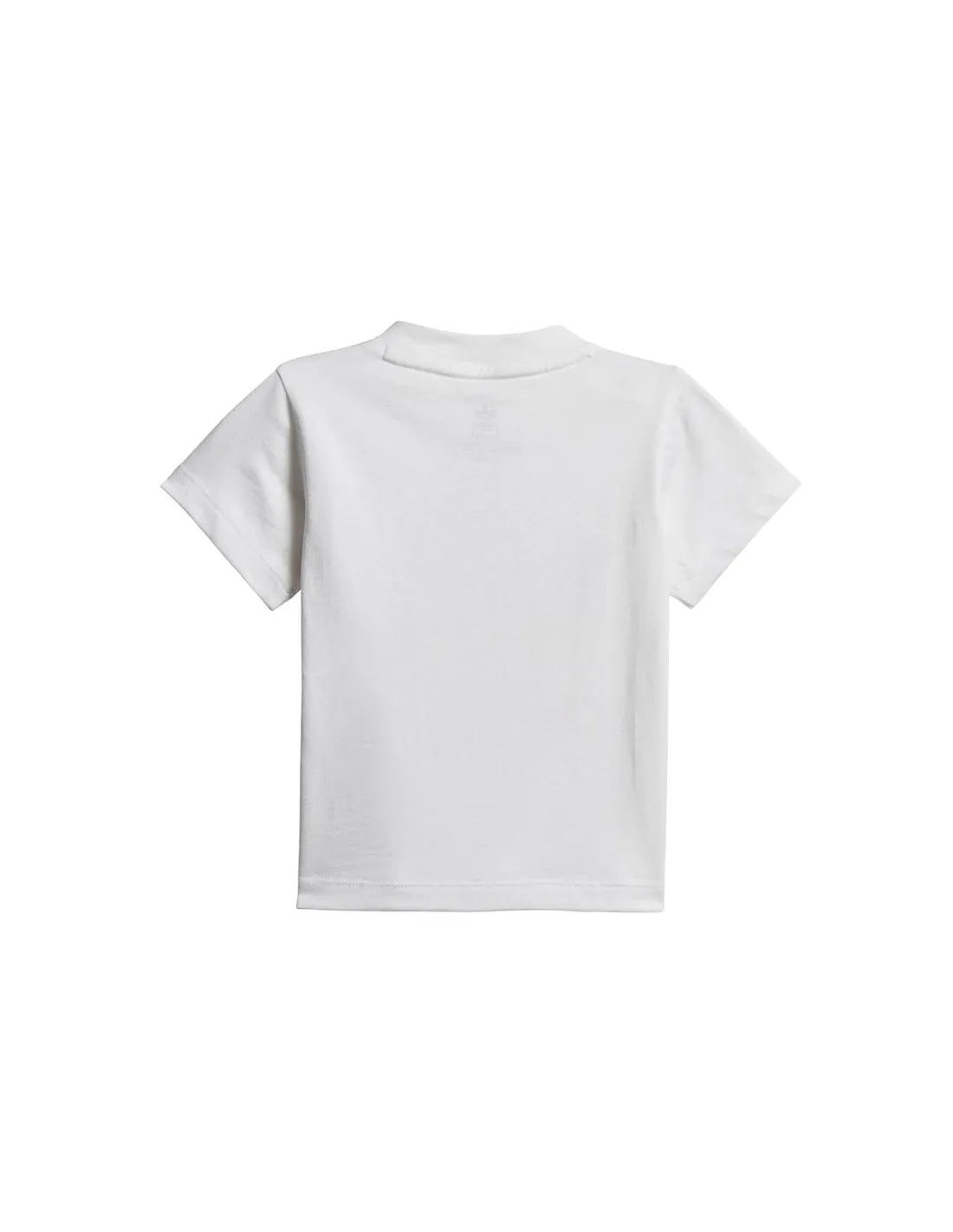 ENSEMBLE TEE COURT